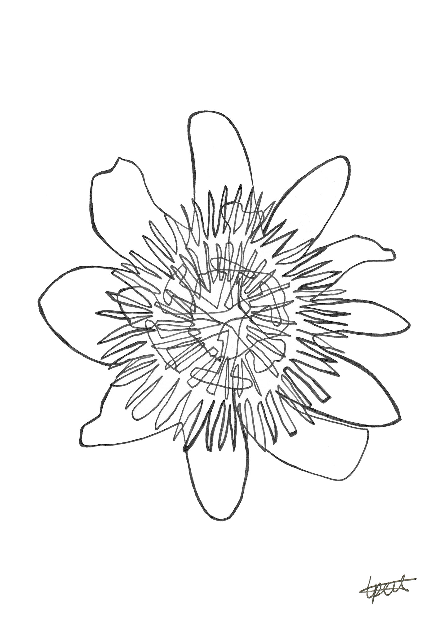 Passiflora [B&W] A5 Fine Art Print